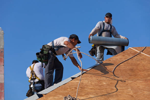 Best Roof Waterproofing Services  in Sibley, IA
